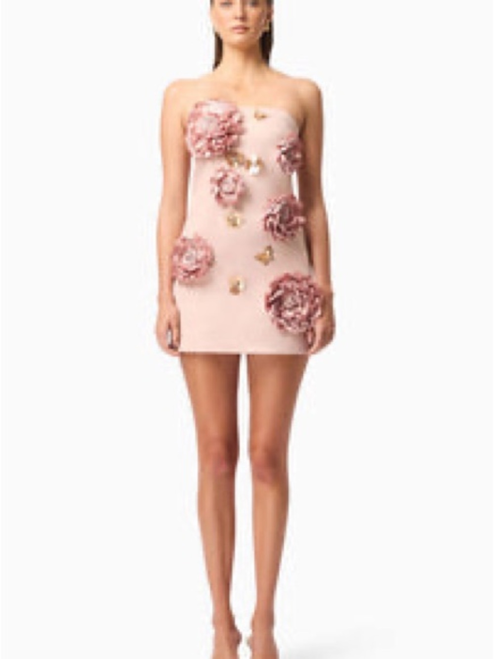 Camile Mini Dress - Champagne XS NWT